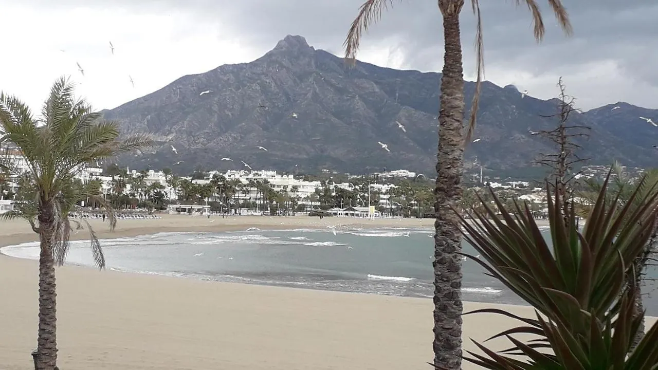 Marbella Nagueles Lejlighed Spanien